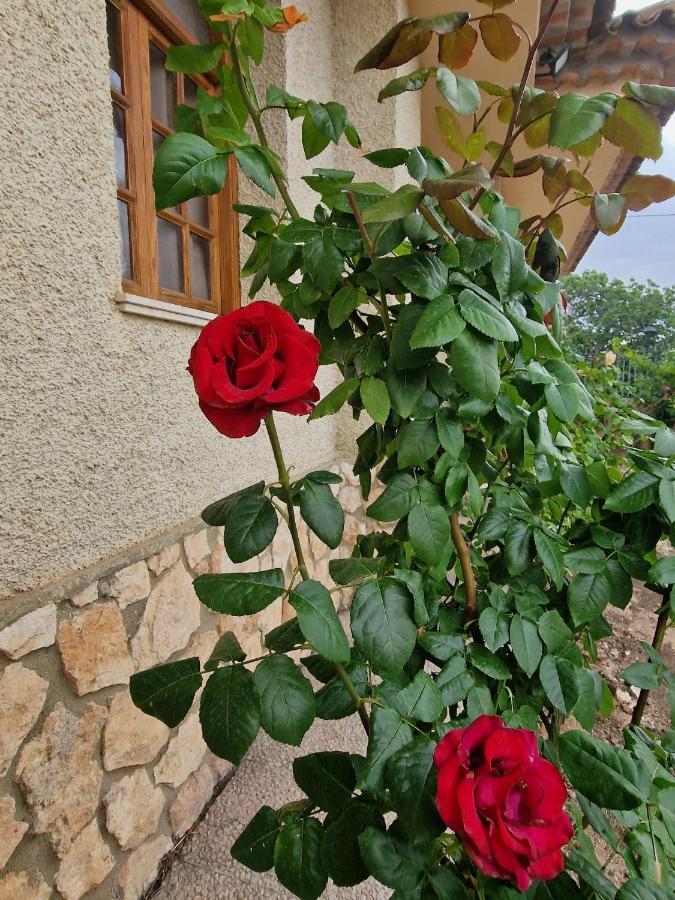 Holiday home Dulces-piscina Privada Letur